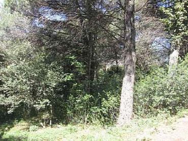 Terreno residencial en venta en Seva - AVDA PAU CASALS