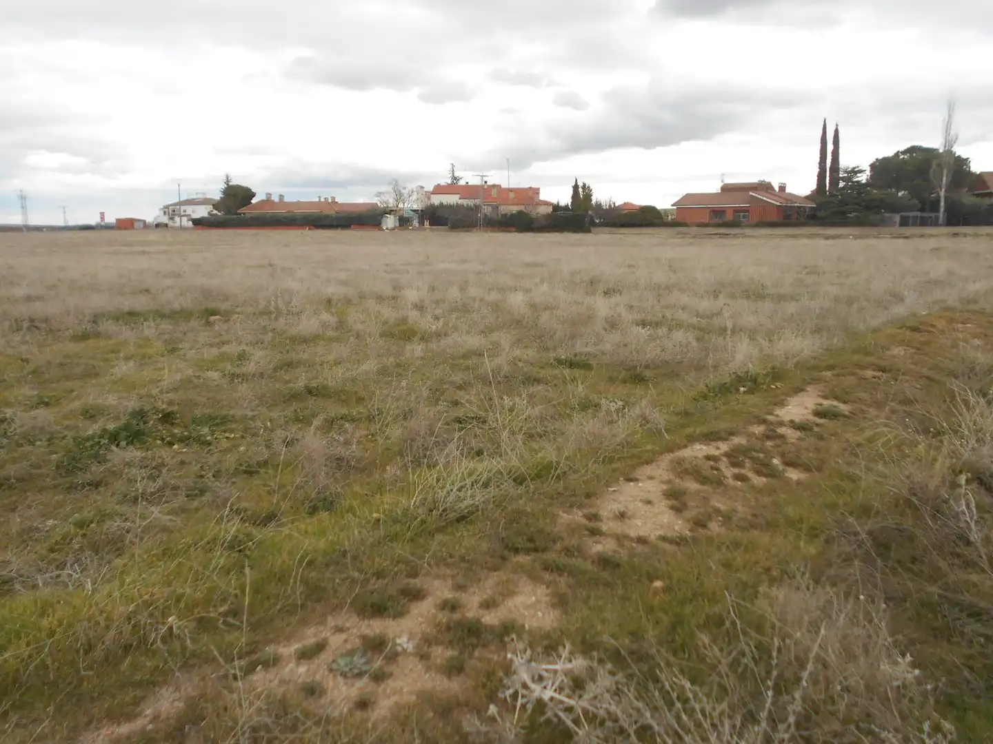 Land for sale in San Pedro del Arroyo