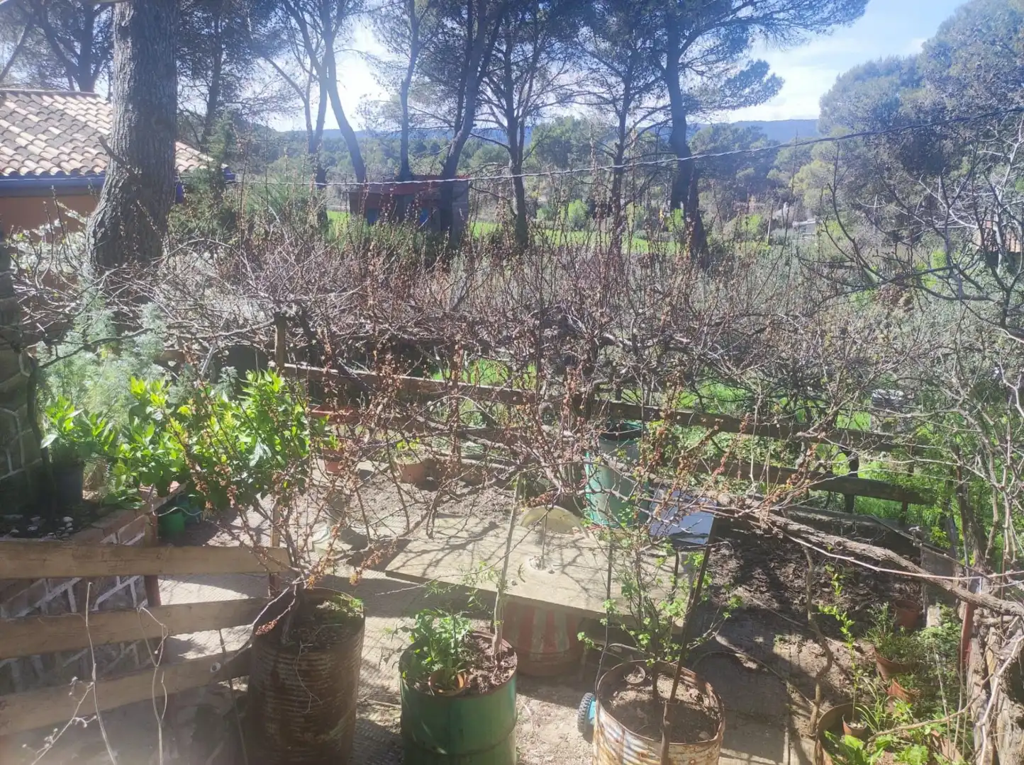 Jardín de Finca rústica en venta en Las Peñas de Riglos con Trastero, Amueblado y Balcón