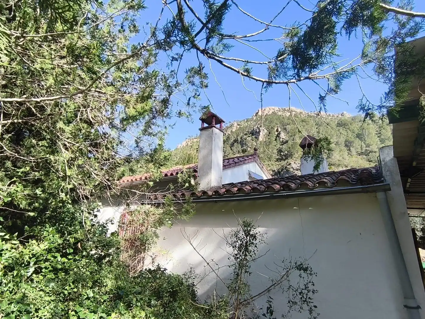 Casa con jardín en venta en Alfara de Carles, imagen 13