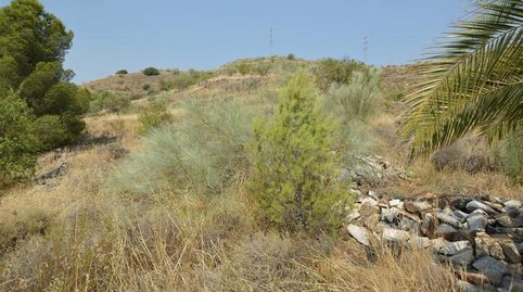 Foto 5 de Finca rústica en venta en Lubrín, Almería