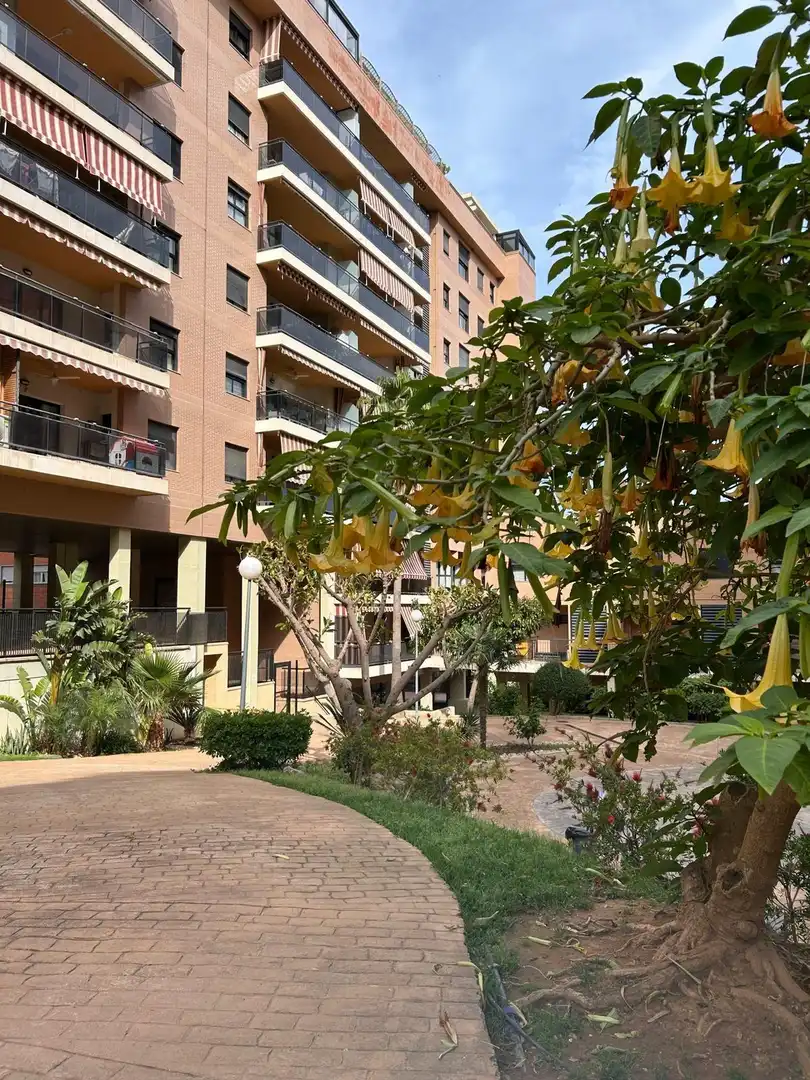 Exterior view of Apartments for rent in Gandia  with Air Conditioner, Heating and Private garden