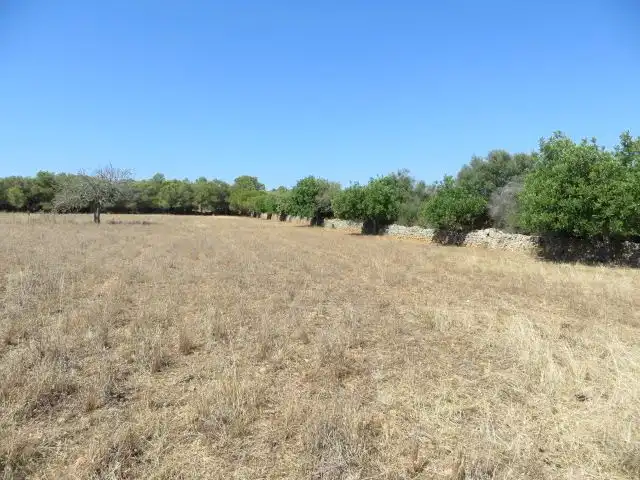 Residencial en venta en Campos