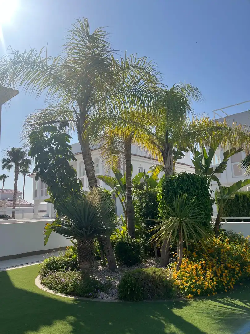 Bungalow avec terrasse à vendre à Avenida Avenida Málaga, imagen 3