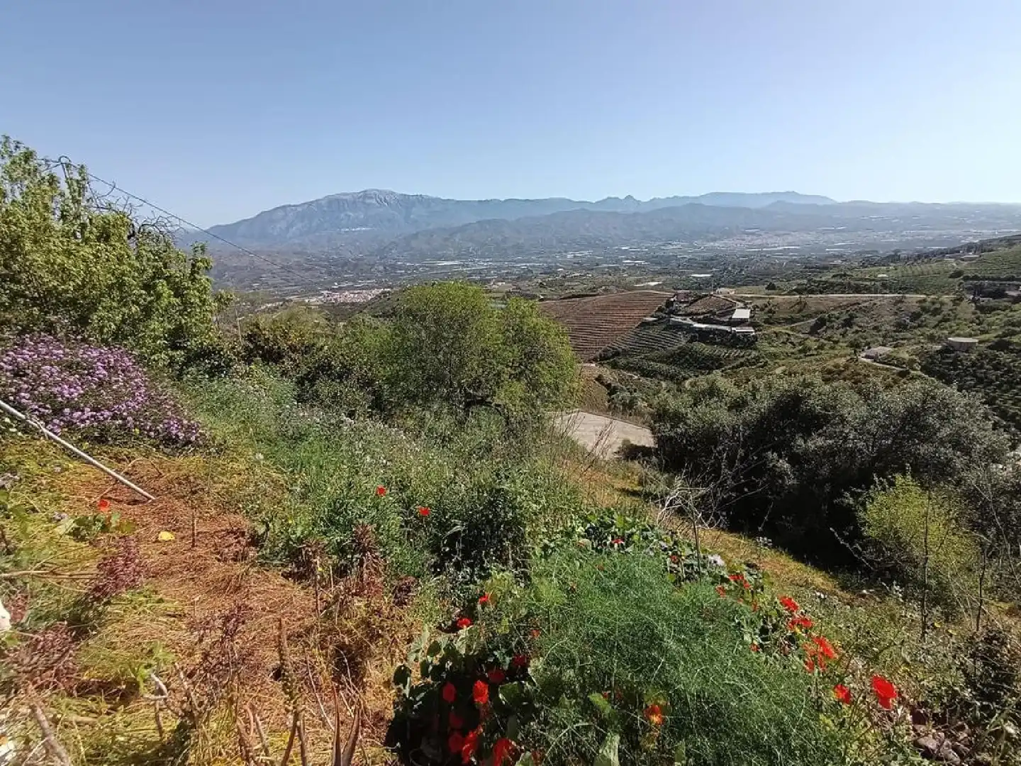Casa o chalet en venta en Benamocarra con Jardín privado, Terraza y Trastero