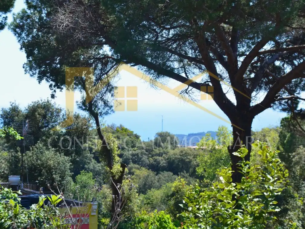 Exterior view of Houses for sale in Tordera