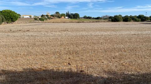 Foto 4 de Finca rústica en venda a El Almedral, Cádiz