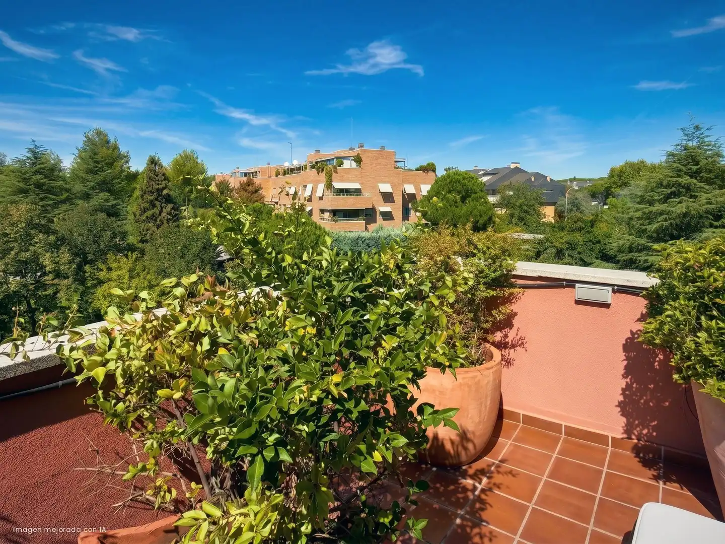 Ático con terraza en venta en Carretera MEDIODIA, imagen 4