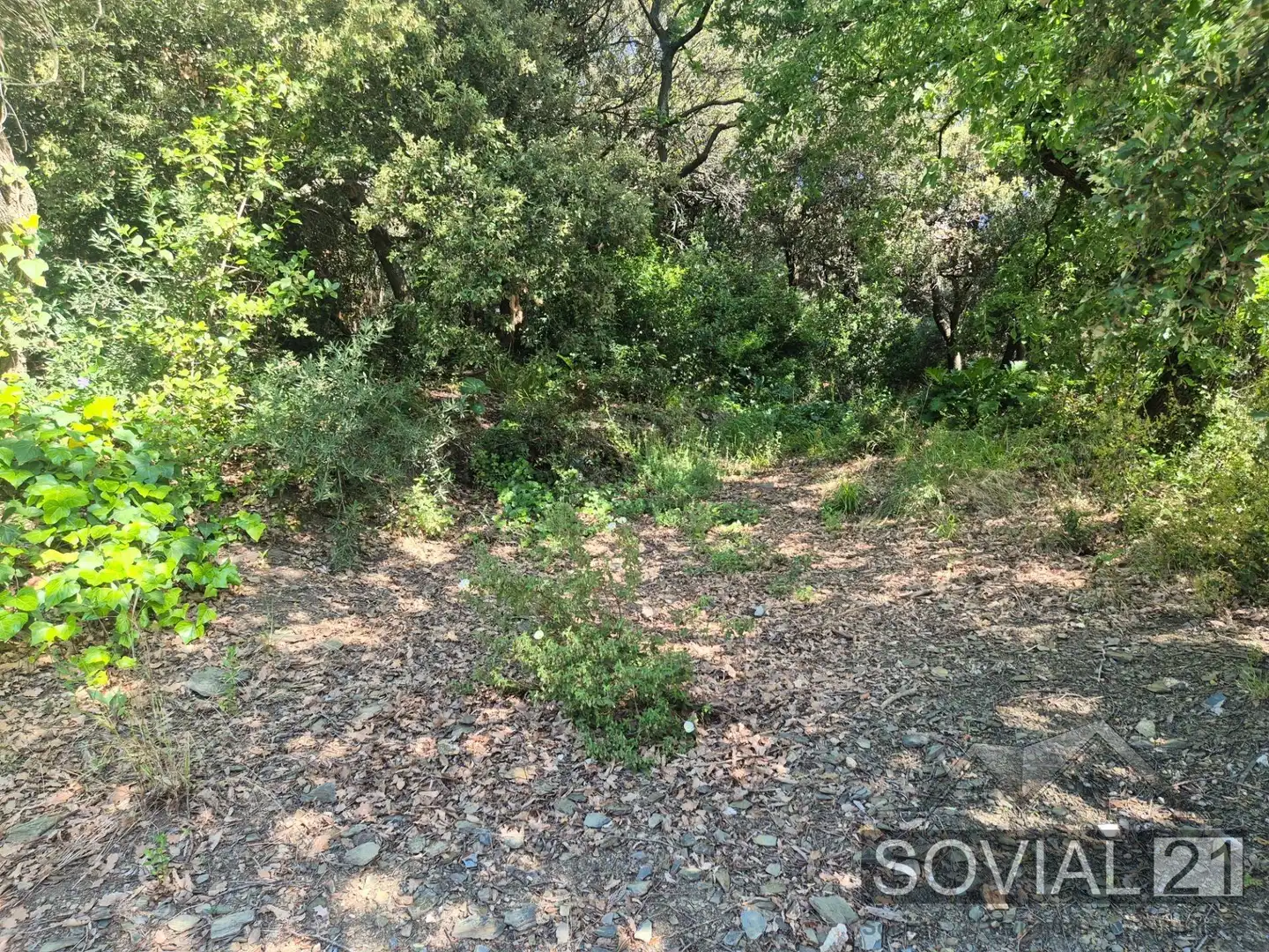 Terreno residenziale in vendita a Les Planes, imagen 4