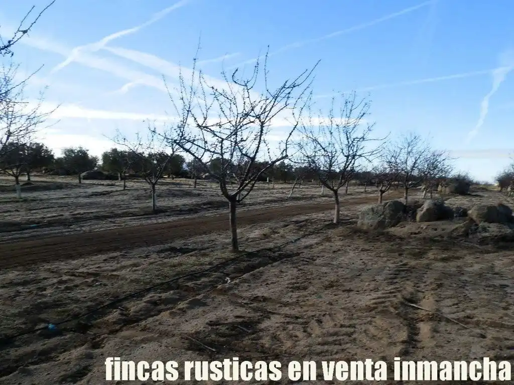 Vista exterior de Terreno en venta en Mora