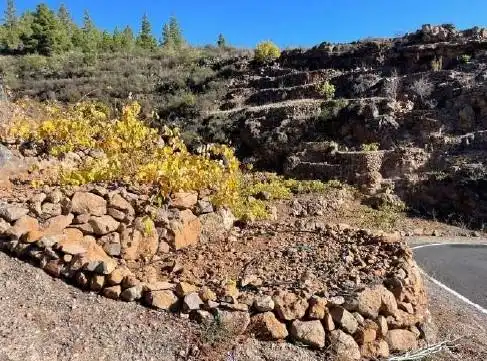 Exterior view of Land for sale in Granadilla de Abona