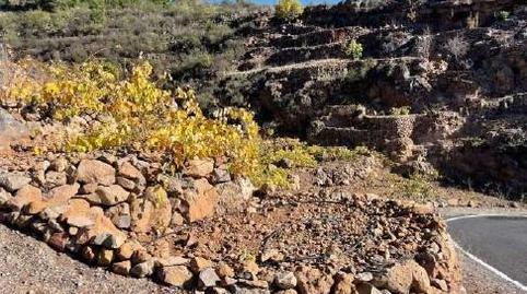 Photo 2 of Land for sale in El Médano, Santa Cruz de Tenerife