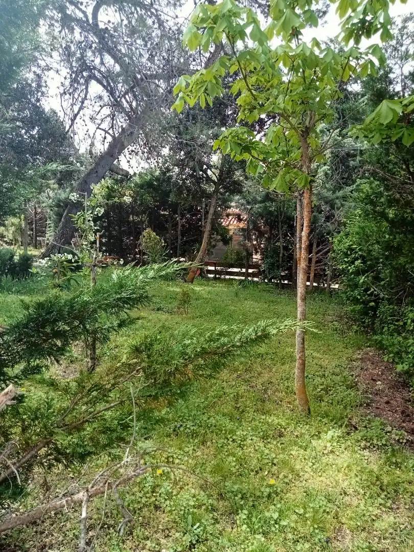 Detached house with terrace for sale in NUEVA SIERRA BR, imagen 13