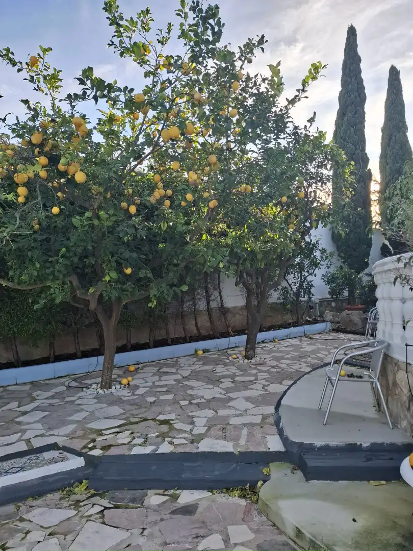 Detached house with pool for sale in Carrer Artemis, imagen 9