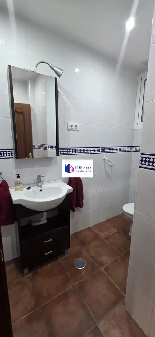 Piso en alquiler en Bellavista - La Palmera, imagen 22