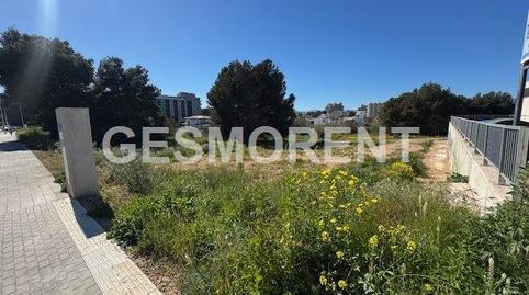 Photo 4 of Residential to rent in Les Maravelles, Illes Balears