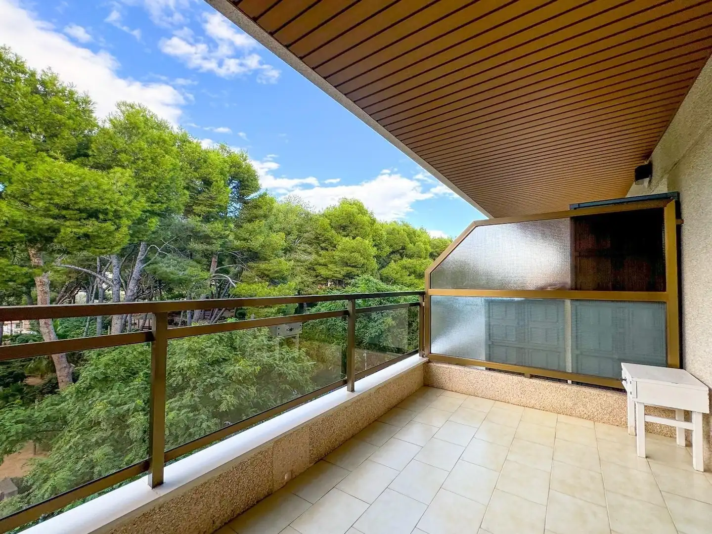 Flat with pool for sale in Carles Buïgas, imagen 11