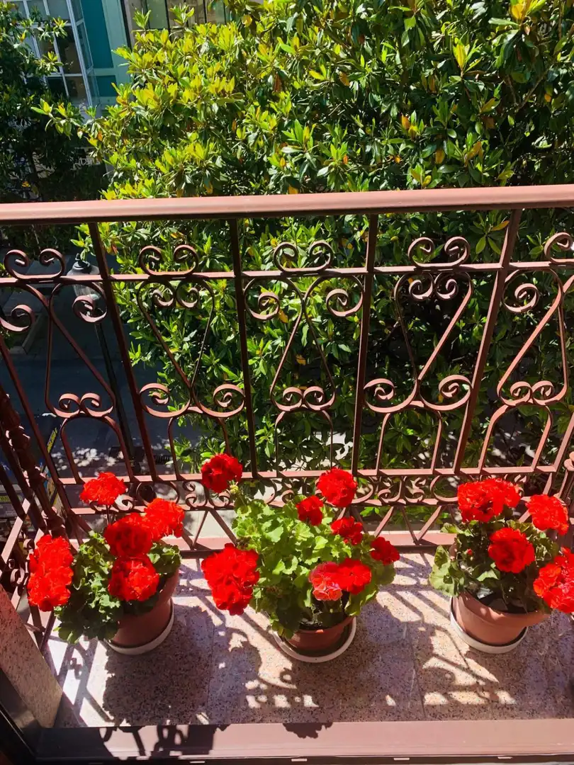 Apartment with lift for sale in Centro, imagen 34
