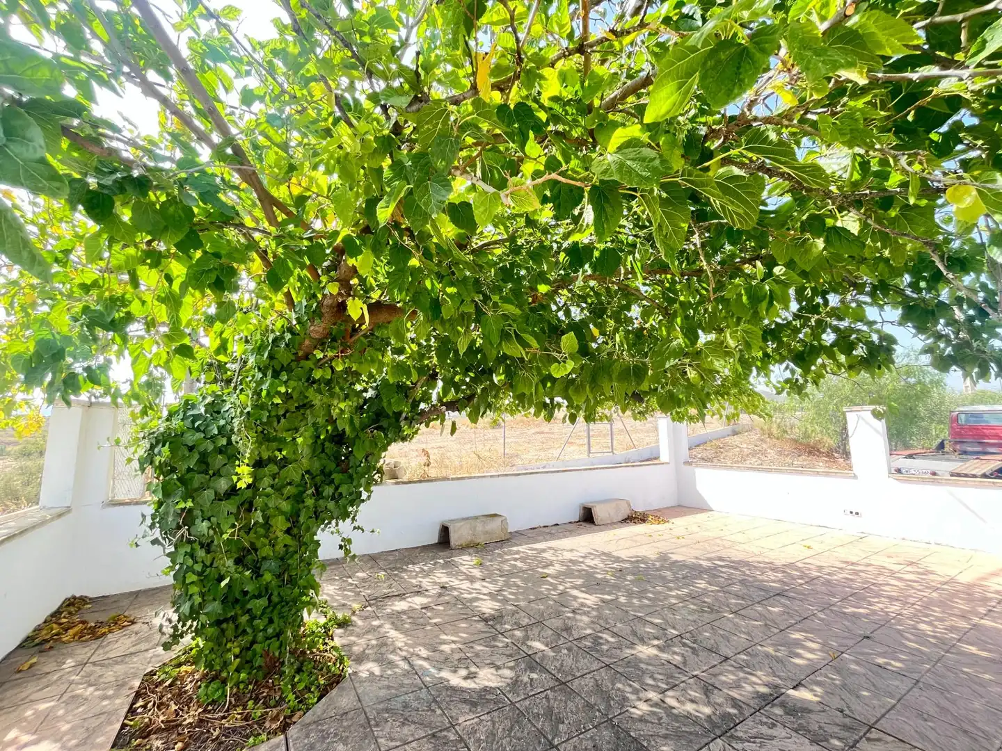 Jardín de Finca rústica en venta en Novelda con Aire acondicionado, Calefacción y Jardín privado