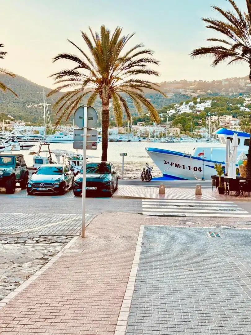 Appartement avec terrasse à louer à Port d'Andratx, imagen 20