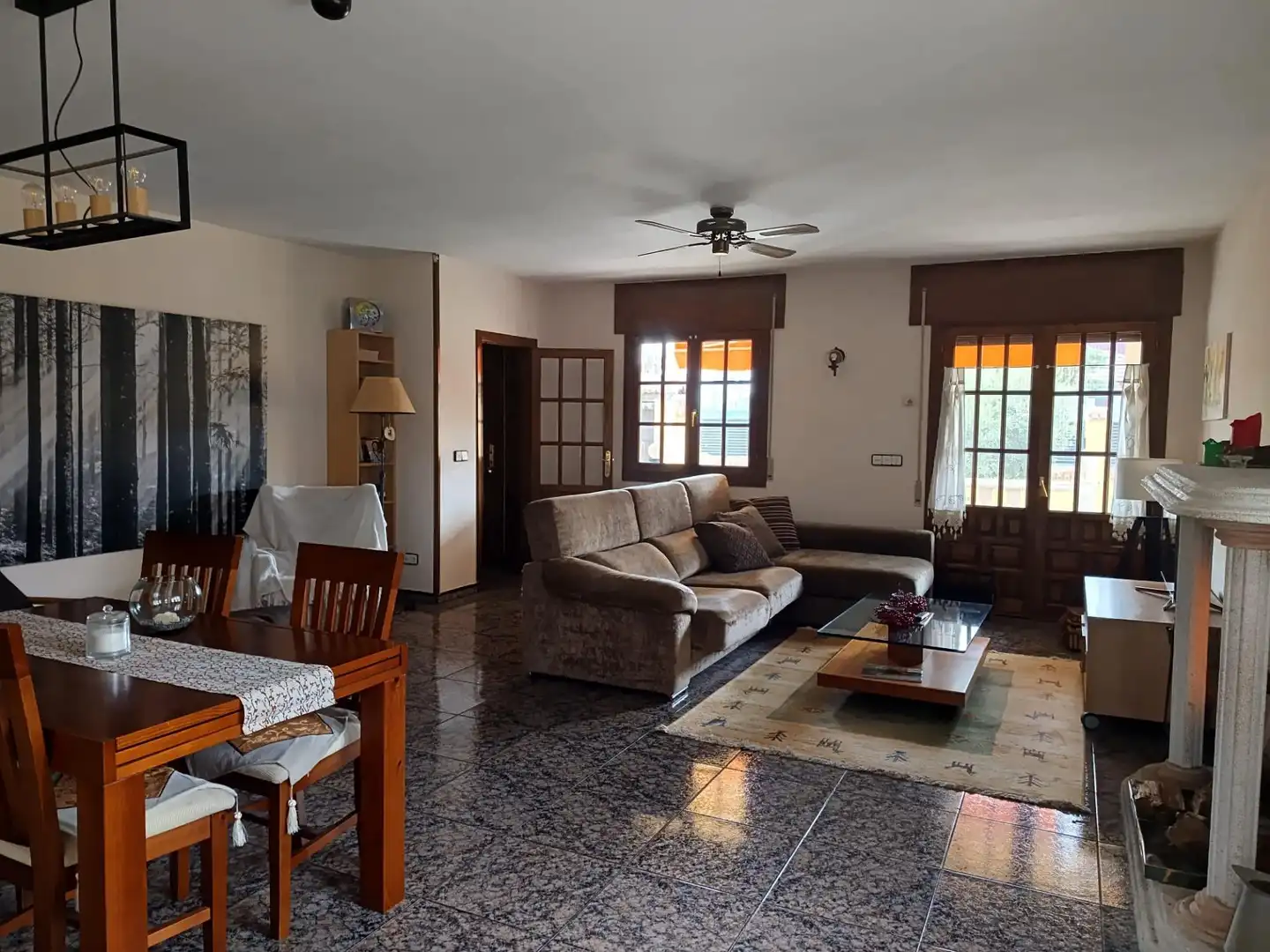Sala de estar de Casa o chalet en venta en La Pedraja de Portillo  con Calefacción, Jardín privado y Piscina