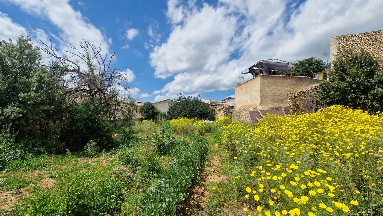 Finca rústica en venda en Llíber