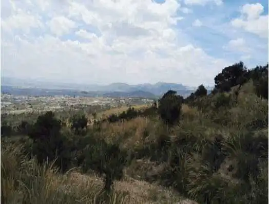Terreno rustico in vendita a Paraje La Zarza, imagen 6