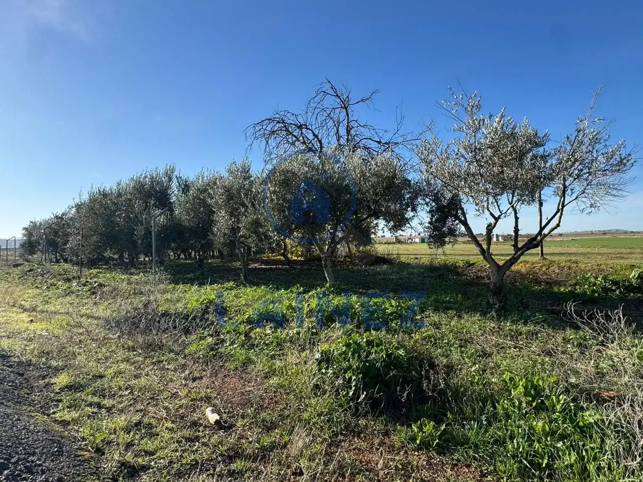 Terrains et parcelles à vendre à La Granjuela