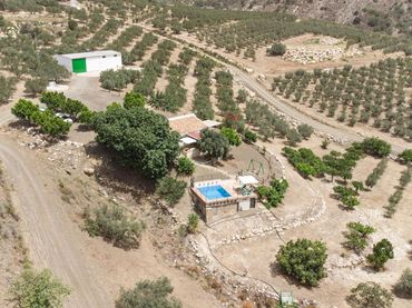 Terrenys i solars en venda a Polígono
