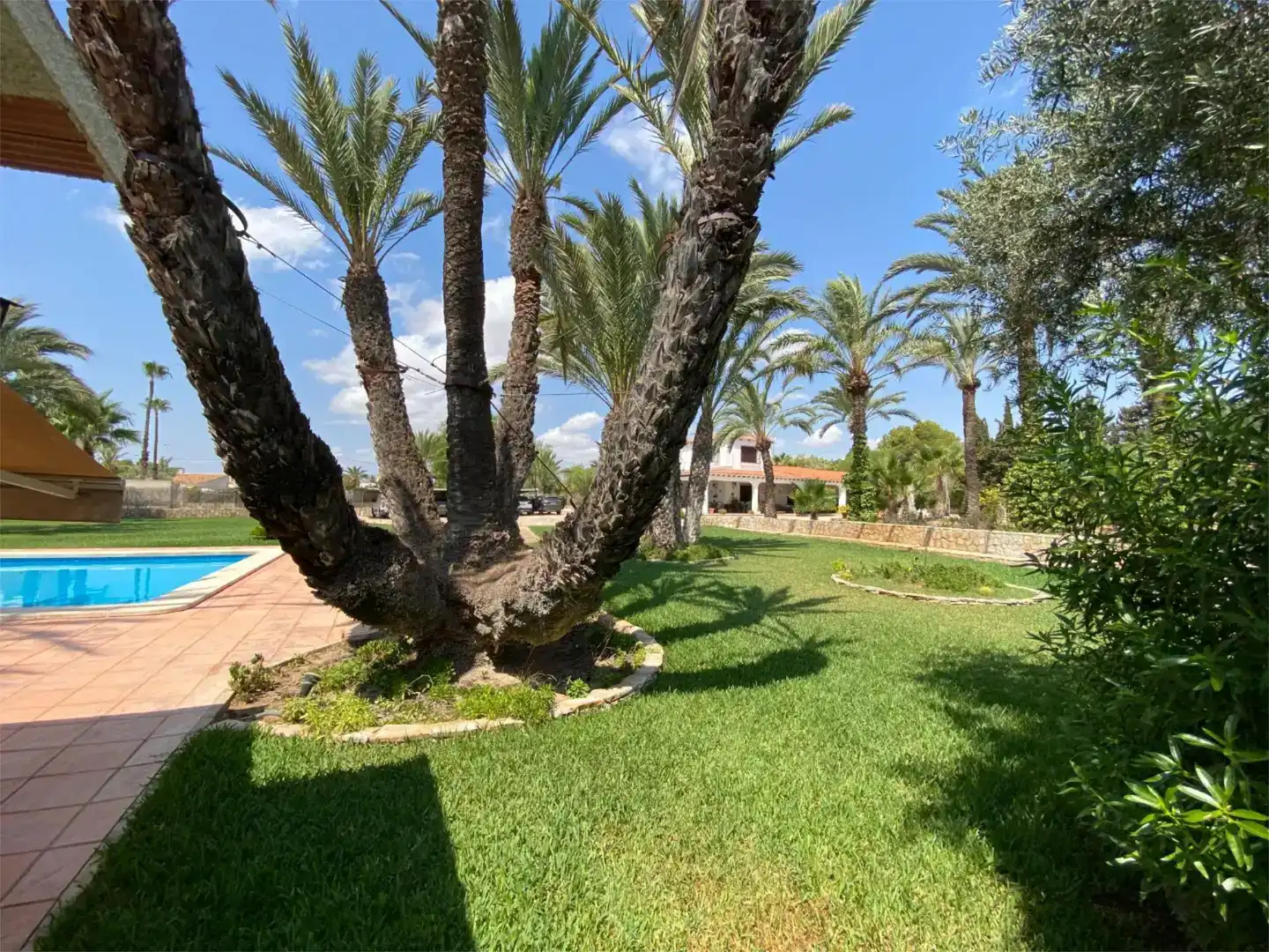 Jardí de Casa o xalet en venda en Santa Pola amb Aire condicionat i Piscina
