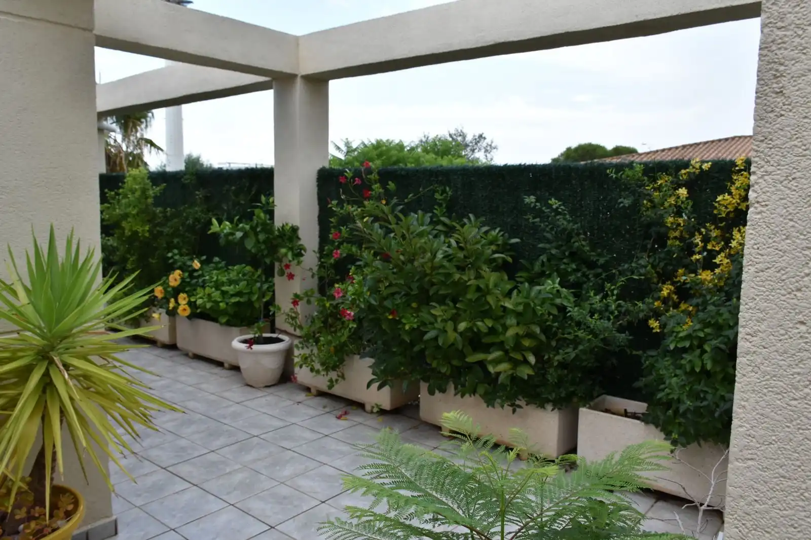 Attique avec piscine à vendre à Las Marinas / Les Marines, imagen 7