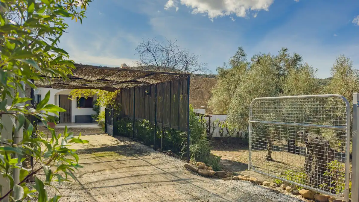 Jardí de Casa o xalet en venda en Almogía amb Aire condicionat, Jardí privat i Terrassa