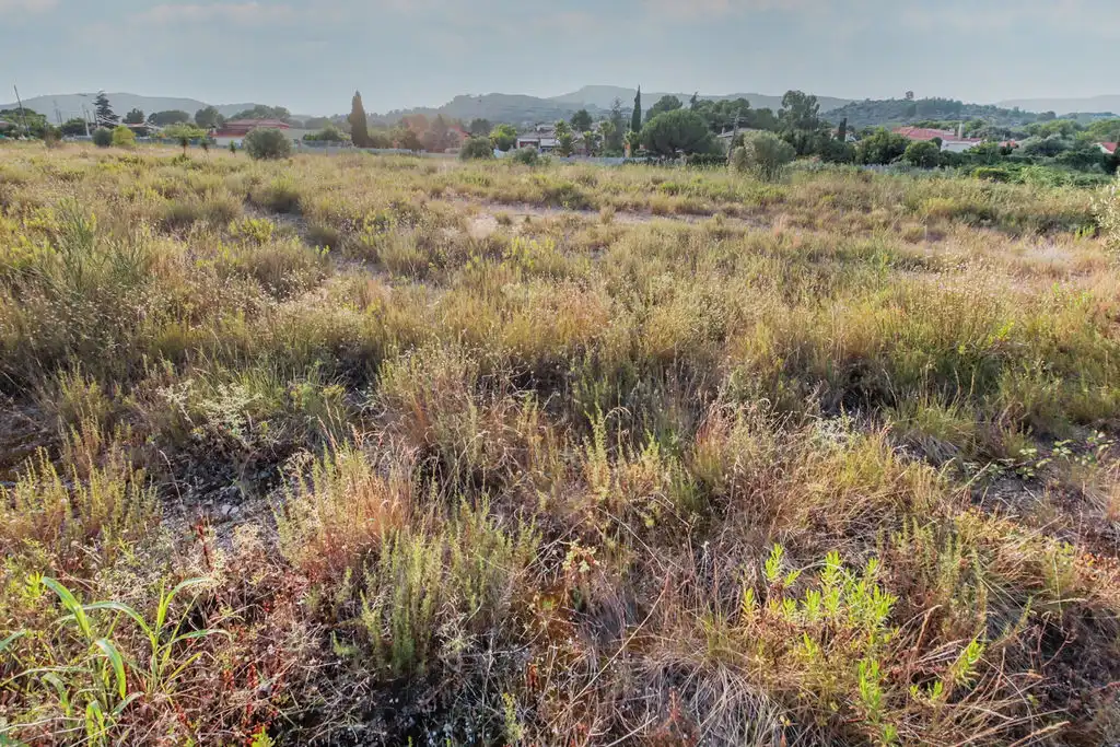 Terrain rustique à vendre à Plan Parcial Masíes Catalanes, imagen 18