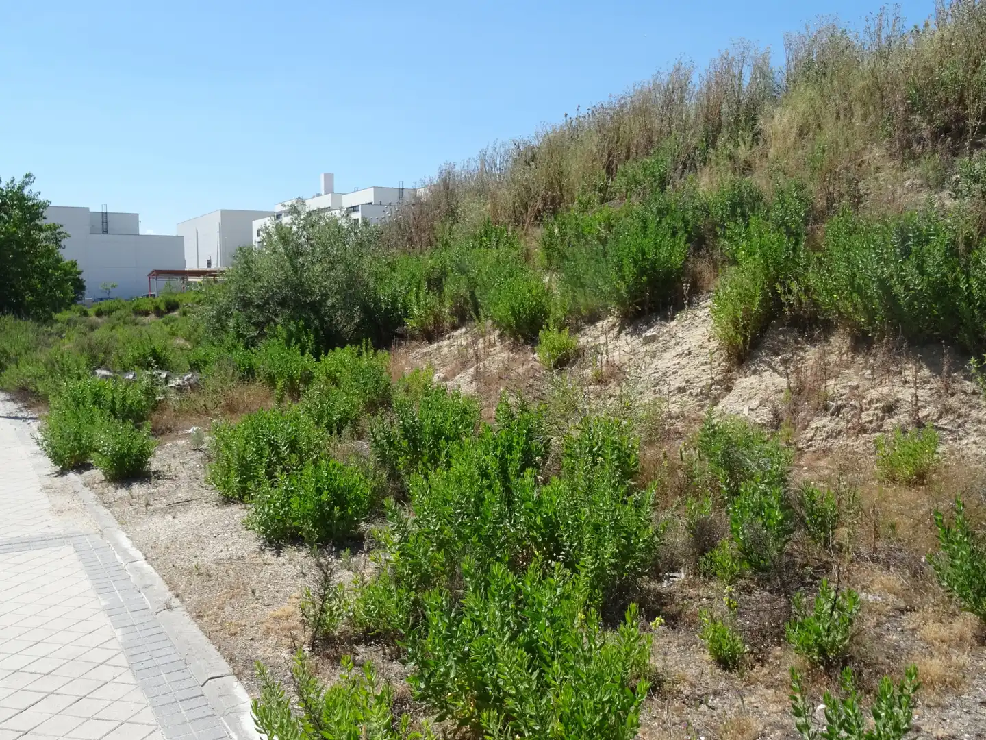 Residencial en venda en Tres Cantos