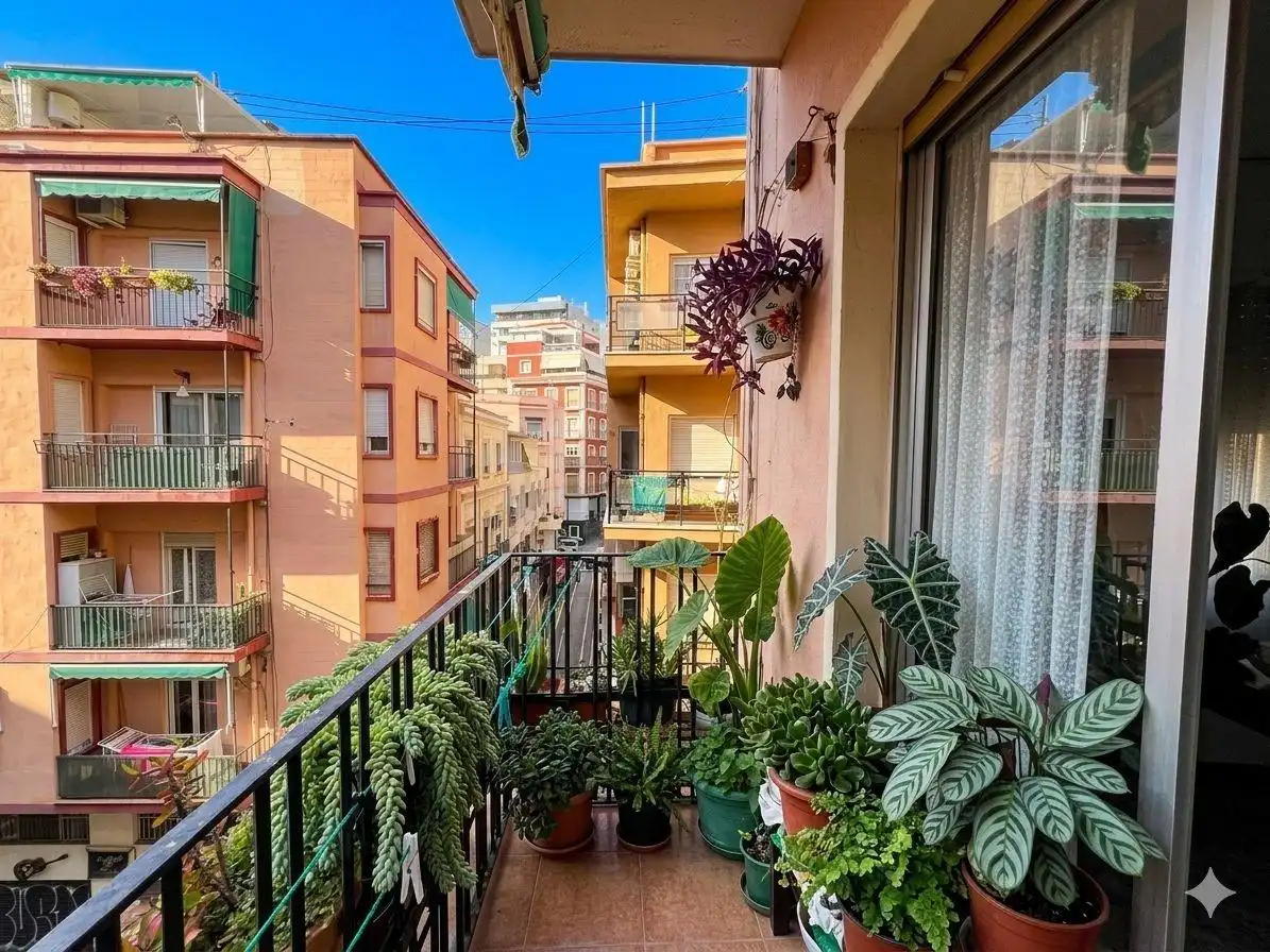 Terrassa de Pis en venda en Alicante / Alacant amb Balcó