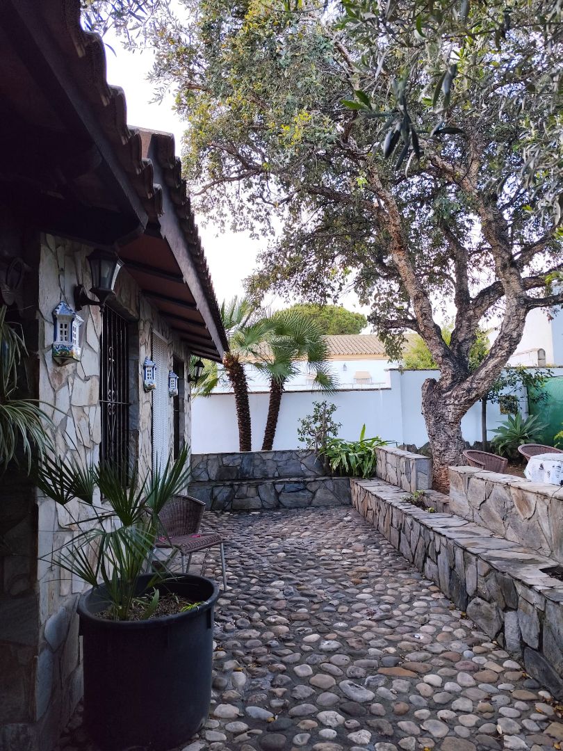 Vista exterior de Casa o chalet de alquiler en Chiclana de la Frontera con Amueblado