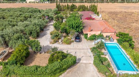 Finca rústica vallada con 320 olivos, pozo propio y vivienda de tres habitaciones
