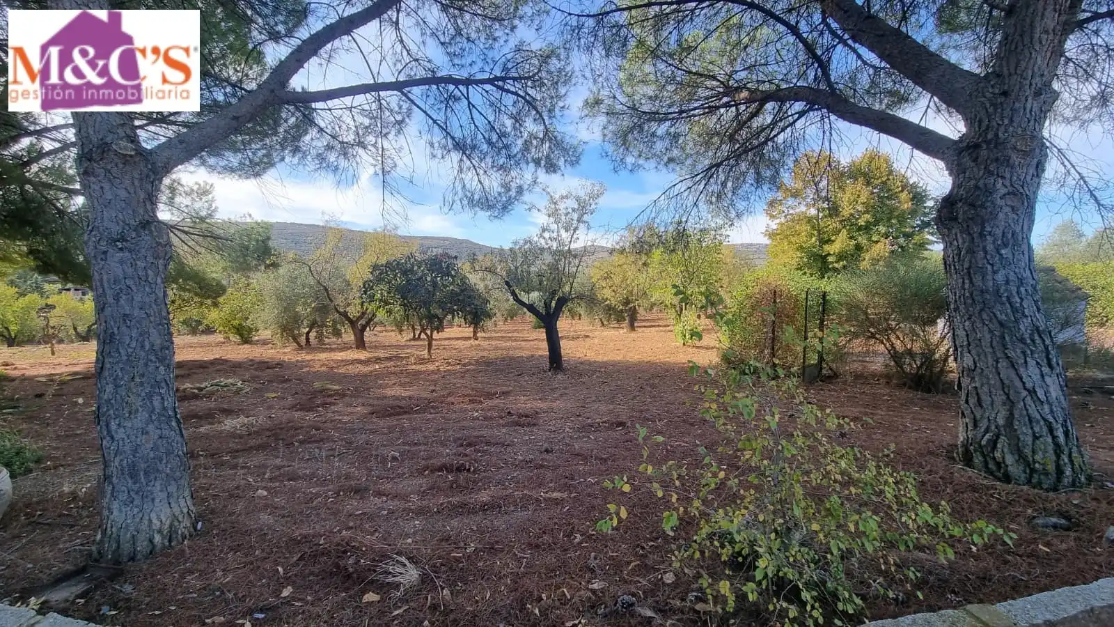 Chalet con terraza en venta en Almodóvar del Campo, imagen 30