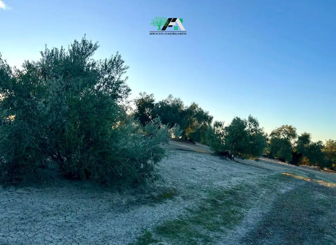 Terreno en venta en Ibros