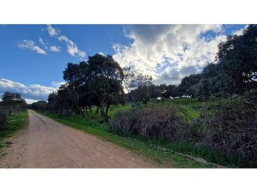 Terreno rústico en venta en Ciudad Rodrigo
