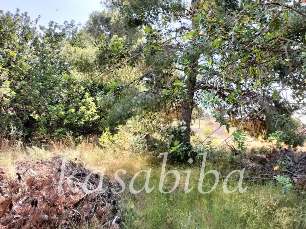 Residential land for sale in Urbanizacion SAN GERARDO, CALLE LIEBRE, imagen 6