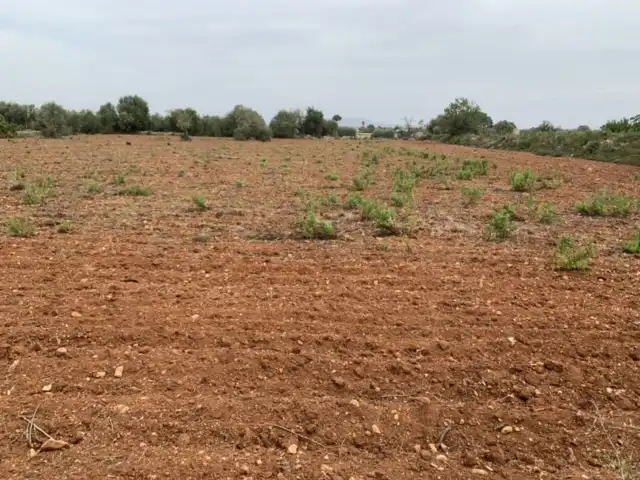 Terreno en venta en Felanitx