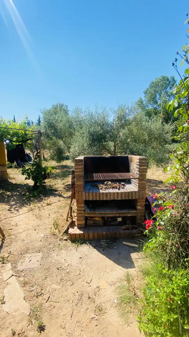 Terreny rústic en venda a Vila de Palafrugell, imagen 3