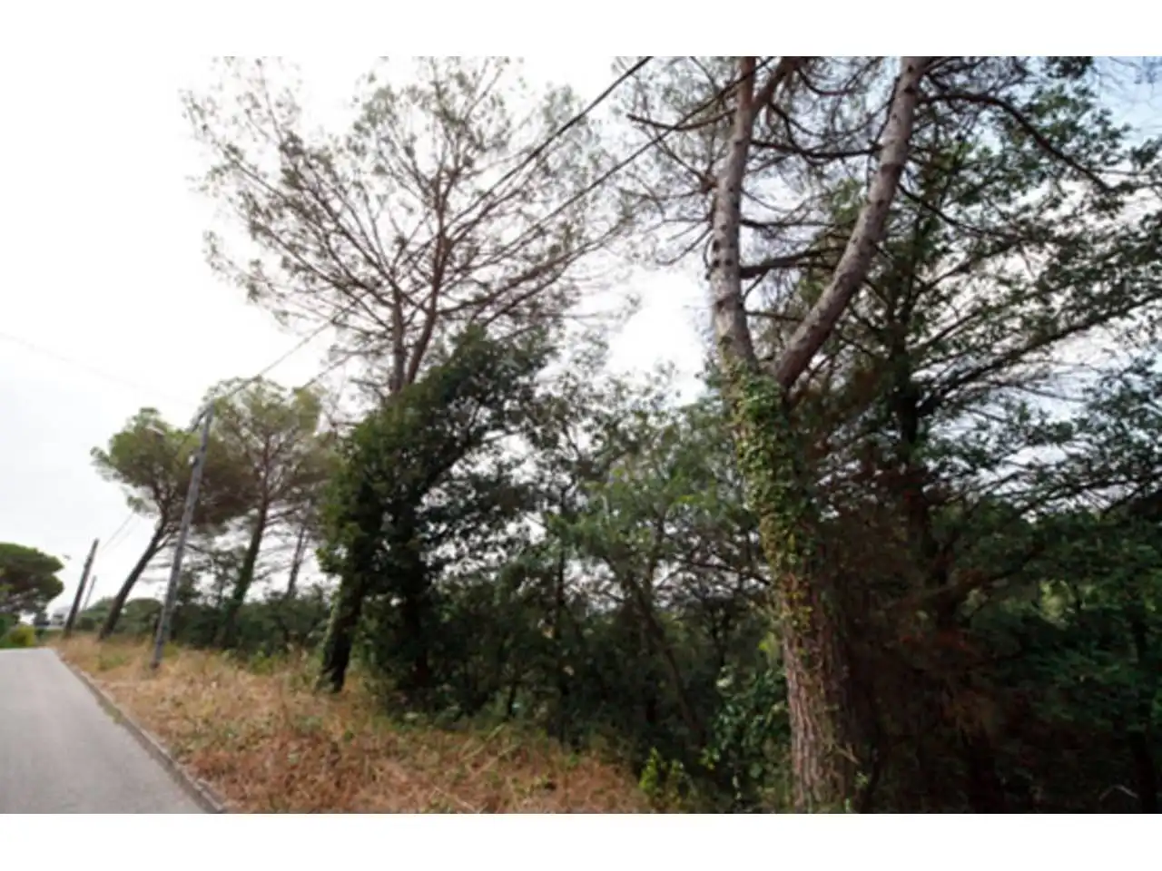 Rural land for sale in Junta de la Compensación, imagen 5