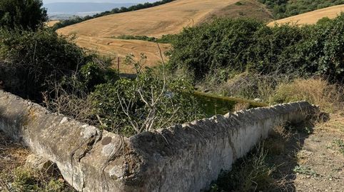 Foto 2 de Terreno en venta en Arcos de la Frontera, Cádiz