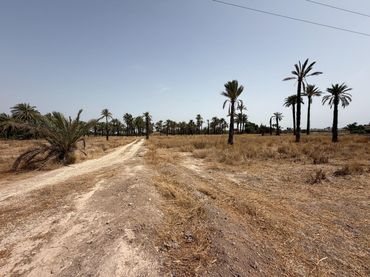 Rustikales Grundstück zum Verkauf in Algorós - El Derramador