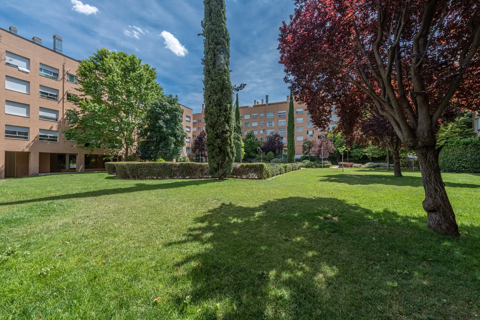 Jardín de Piso de alquiler en Madrid con Trastero