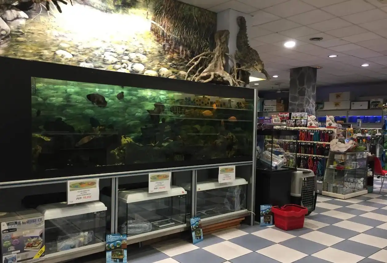 Local comercial en traspàs a Príncep de Viana 100, imagen 9