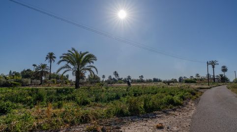 Foto 3 de Casa o chalet en venta en Algorós - El Derramador, Elche / Elx