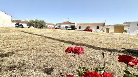 Photo 3 of Residential for sale in Alcalá, Bobadilla - Bobadilla Estación - La Joya, Málaga
